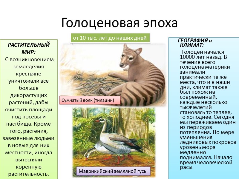 Голоценовая эпоха от 10 тыс. лет до наших дней     